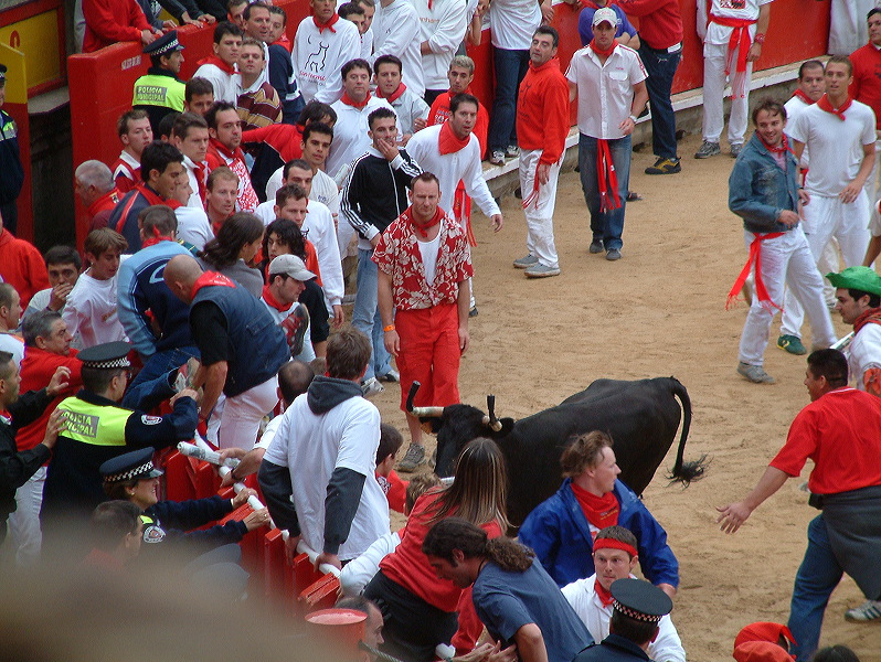 dscf0151.jpg