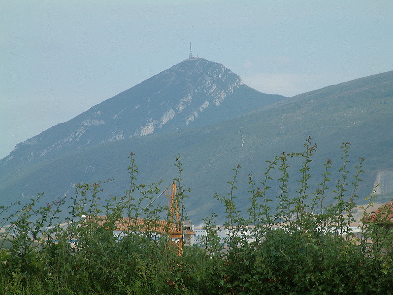 dscf0155.jpg