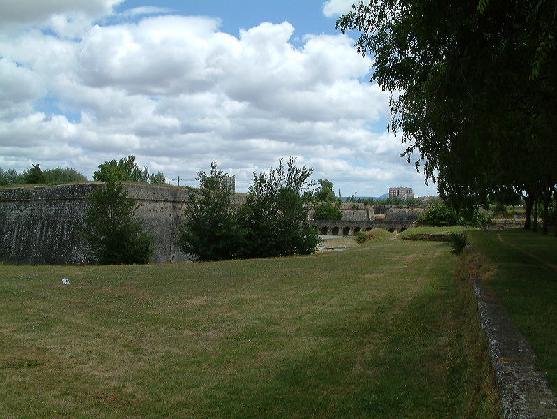 dscf0192.jpg
