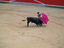 dscf0046