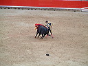 dscf0081