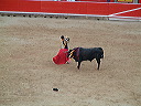 dscf0082