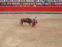 dscf0091