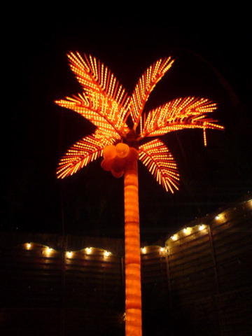 dsc00097.jpg